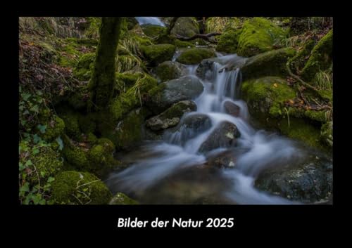 Bilder der Natur 2025 Fotokalender DIN A3: Monatskalender mit Bild-Motiven aus Fauna und Flora, Natur, Blumen und Pflanzen Bilder der Natur 2025 Fotokalender DIN A3: Monatskalender mit Bild-Motiven aus Fauna und Flora, Natur, Blumen und Pflanzen