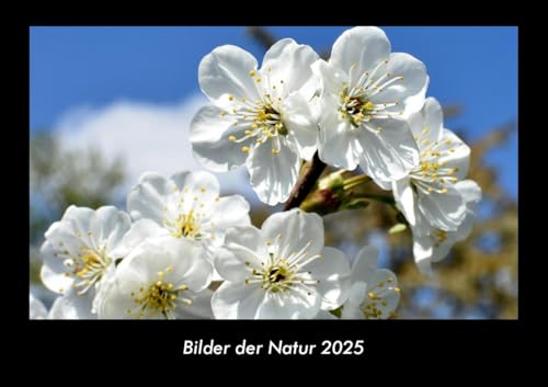 Bilder der Natur 2025 Fotokalender DIN A3: Monatskalender mit Bild-Motiven aus Fauna und Flora, Natur, Blumen und Pflanzen Bilder der Natur 2025 Fotokalender DIN A3: Monatskalender mit Bild-Motiven aus Fauna und Flora, Natur, Blumen und Pflanzen