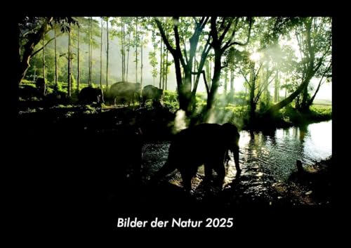 Bilder der Natur 2025 Fotokalender DIN A3: Monatskalender mit Bild-Motiven aus Fauna und Flora, Natur, Blumen und Pflanzen Bilder der Natur 2025 Fotokalender DIN A3: Monatskalender mit Bild-Motiven aus Fauna und Flora, Natur, Blumen und Pflanzen