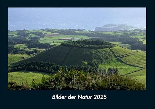 Bilder der Natur 2025 Fotokalender DIN A4: Monatskalender mit Bild-Motiven aus Fauna und Flora, Natur, Blumen und Pflanzen Bilder der Natur 2025 Fotokalender DIN A4: Monatskalender mit Bild-Motiven aus Fauna und Flora, Natur, Blumen und Pflanzen