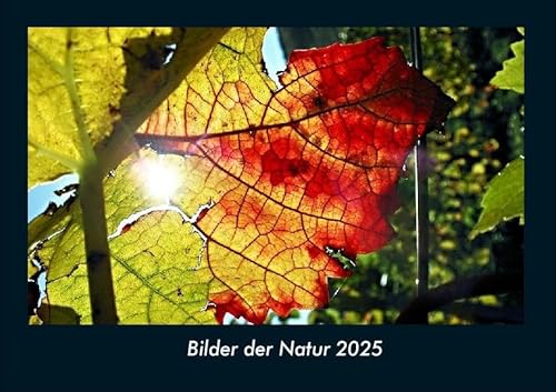 Bilder der Natur 2025 Fotokalender DIN A4: Monatskalender mit Bild-Motiven aus Fauna und Flora, Natur, Blumen und Pflanzen Bilder der Natur 2025 Fotokalender DIN A4: Monatskalender mit Bild-Motiven aus Fauna und Flora, Natur, Blumen und Pflanzen