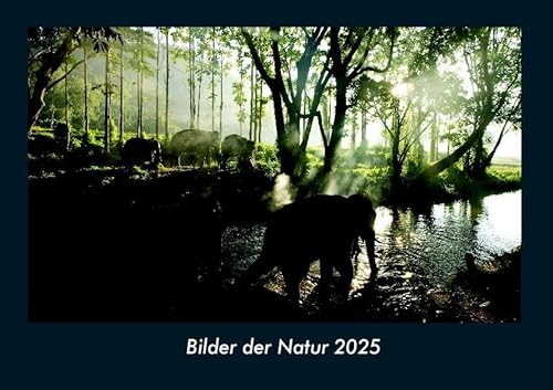 Bilder der Natur 2025 Fotokalender DIN A4: Monatskalender mit Bild-Motiven aus Fauna und Flora, Natur, Blumen und Pflanzen Bilder der Natur 2025 Fotokalender DIN A4: Monatskalender mit Bild-Motiven aus Fauna und Flora, Natur, Blumen und Pflanzen