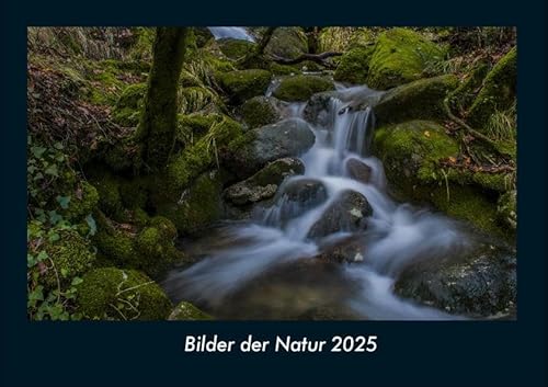 Bilder der Natur 2025 Fotokalender DIN A4: Monatskalender mit Bild-Motiven aus Fauna und Flora, Natur, Blumen und Pflanzen Bilder der Natur 2025 Fotokalender DIN A4: Monatskalender mit Bild-Motiven aus Fauna und Flora, Natur, Blumen und Pflanzen