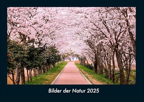 Bilder der Natur 2025 Fotokalender DIN A4: Monatskalender mit Bild-Motiven aus Fauna und Flora, Natur, Blumen und Pflanzen Bilder der Natur 2025 Fotokalender DIN A4: Monatskalender mit Bild-Motiven aus Fauna und Flora, Natur, Blumen und Pflanzen