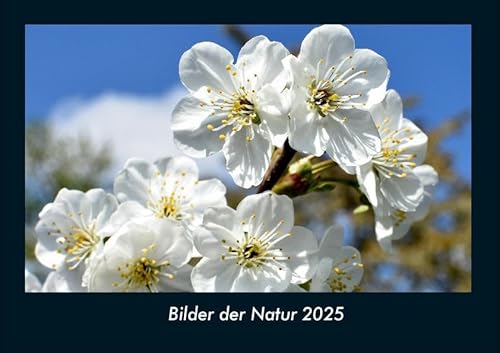Bilder der Natur 2025 Fotokalender DIN A4: Monatskalender mit Bild-Motiven aus Fauna und Flora, Natur, Blumen und Pflanzen Bilder der Natur 2025 Fotokalender DIN A4: Monatskalender mit Bild-Motiven aus Fauna und Flora, Natur, Blumen und Pflanzen