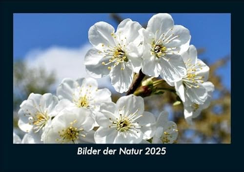 Bilder der Natur 2025 Fotokalender DIN A5: Monatskalender mit Bild-Motiven aus Fauna und Flora, Natur, Blumen und Pflanzen Bilder der Natur 2025 Fotokalender DIN A5: Monatskalender mit Bild-Motiven aus Fauna und Flora, Natur, Blumen und Pflanzen