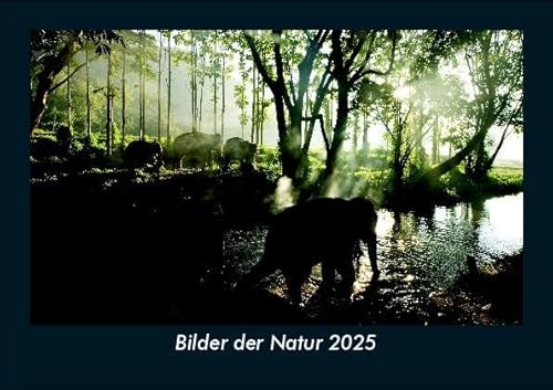 Bilder der Natur 2025 Fotokalender DIN A5: Monatskalender mit Bild-Motiven aus Fauna und Flora, Natur, Blumen und Pflanzen Bilder der Natur 2025 Fotokalender DIN A5: Monatskalender mit Bild-Motiven aus Fauna und Flora, Natur, Blumen und Pflanzen