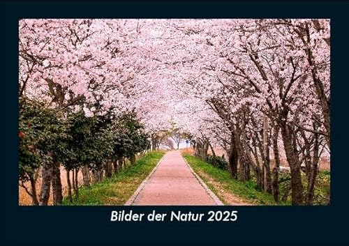 Bilder der Natur 2025 Fotokalender DIN A5: Monatskalender mit Bild-Motiven aus Fauna und Flora, Natur, Blumen und Pflanzen Bilder der Natur 2025 Fotokalender DIN A5: Monatskalender mit Bild-Motiven aus Fauna und Flora, Natur, Blumen und Pflanzen