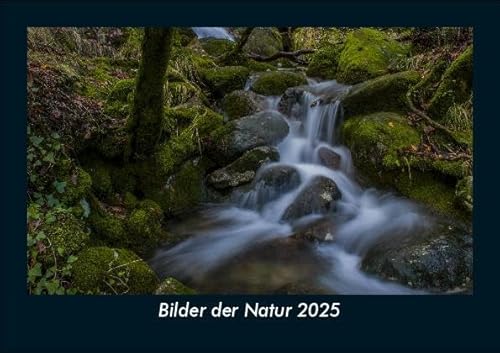 Bilder der Natur 2025 Fotokalender DIN A5: Monatskalender mit Bild-Motiven aus Fauna und Flora, Natur, Blumen und Pflanzen Bilder der Natur 2025 Fotokalender DIN A5: Monatskalender mit Bild-Motiven aus Fauna und Flora, Natur, Blumen und Pflanzen