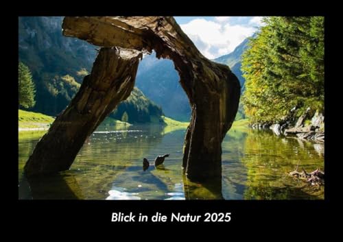 Blick in die Natur 2025 Fotokalender DIN A3: Monatskalender mit Bild-Motiven aus Fauna und Flora, Natur, Blumen und Pflanzen Blick in die Natur 2025 Fotokalender DIN A3: Monatskalender mit Bild-Motiven aus Fauna und Flora, Natur, Blumen und Pflanzen