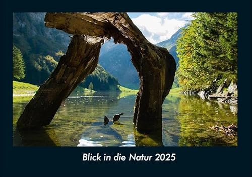 Blick in die Natur 2025 Fotokalender DIN A4: Monatskalender mit Bild-Motiven aus Fauna und Flora, Natur, Blumen und Pflanzen Blick in die Natur 2025 Fotokalender DIN A4: Monatskalender mit Bild-Motiven aus Fauna und Flora, Natur, Blumen und Pflanzen