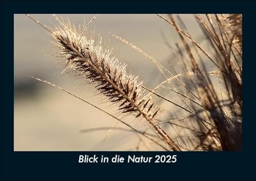Blick in die Natur 2025 Fotokalender DIN A5: Monatskalender mit Bild-Motiven aus Fauna und Flora, Natur, Blumen und Pflanzen Blick in die Natur 2025 Fotokalender DIN A5: Monatskalender mit Bild-Motiven aus Fauna und Flora, Natur, Blumen und Pflanzen