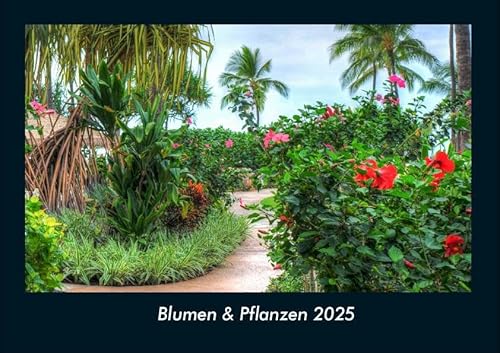 Blumen & Pflanzen 2025 Fotokalender DIN A4: Monatskalender mit Bild-Motiven aus Fauna und Flora, Natur, Blumen und Pflanzen Blumen & Pflanzen 2025 Fotokalender DIN A4: Monatskalender mit Bild-Motiven aus Fauna und Flora, Natur, Blumen und Pflanzen