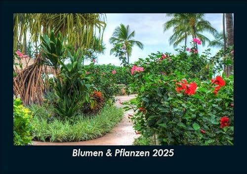 Blumen & Pflanzen 2025 Fotokalender DIN A5: Monatskalender mit Bild-Motiven aus Fauna und Flora, Natur, Blumen und Pflanzen Blumen & Pflanzen 2025 Fotokalender DIN A5: Monatskalender mit Bild-Motiven aus Fauna und Flora, Natur, Blumen und Pflanzen