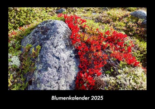 Blumenkalender 2025 Fotokalender DIN A3: Monatskalender mit Bild-Motiven aus Fauna und Flora, Natur, Blumen und Pflanzen Blumenkalender 2025 Fotokalender DIN A3: Monatskalender mit Bild-Motiven aus Fauna und Flora, Natur, Blumen und Pflanzen