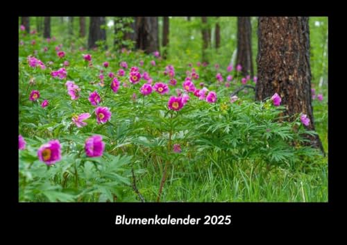Blumenkalender 2025 Fotokalender DIN A3: Monatskalender mit Bild-Motiven aus Fauna und Flora, Natur, Blumen und Pflanzen Blumenkalender 2025 Fotokalender DIN A3: Monatskalender mit Bild-Motiven aus Fauna und Flora, Natur, Blumen und Pflanzen