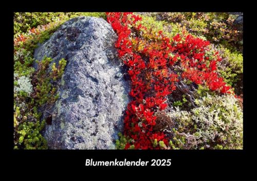 Blumenkalender 2025 Fotokalender DIN A3: Monatskalender mit Bild-Motiven aus Fauna und Flora, Natur, Blumen und Pflanzen Blumenkalender 2025 Fotokalender DIN A3: Monatskalender mit Bild-Motiven aus Fauna und Flora, Natur, Blumen und Pflanzen