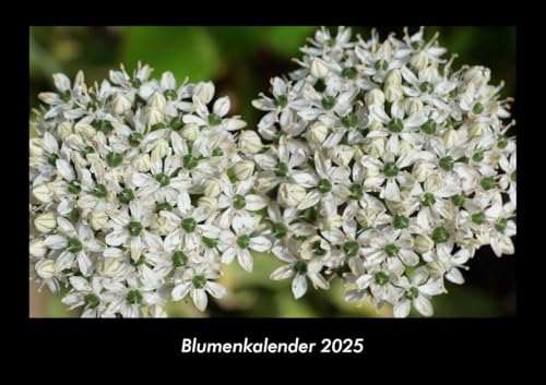 Blumenkalender 2025 Fotokalender DIN A3: Monatskalender mit Bild-Motiven aus Fauna und Flora, Natur, Blumen und Pflanzen Blumenkalender 2025 Fotokalender DIN A3: Monatskalender mit Bild-Motiven aus Fauna und Flora, Natur, Blumen und Pflanzen