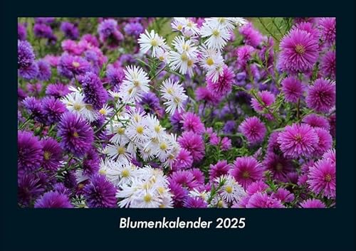 Blumenkalender 2025 Fotokalender DIN A4: Monatskalender mit Bild-Motiven aus Fauna und Flora, Natur, Blumen und Pflanzen Blumenkalender 2025 Fotokalender DIN A4: Monatskalender mit Bild-Motiven aus Fauna und Flora, Natur, Blumen und Pflanzen