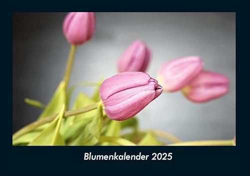 Blumenkalender 2025 Fotokalender DIN A4: Monatskalender mit Bild-Motiven aus Fauna und Flora, Natur, Blumen und Pflanzen Blumenkalender 2025 Fotokalender DIN A4: Monatskalender mit Bild-Motiven aus Fauna und Flora, Natur, Blumen und Pflanzen