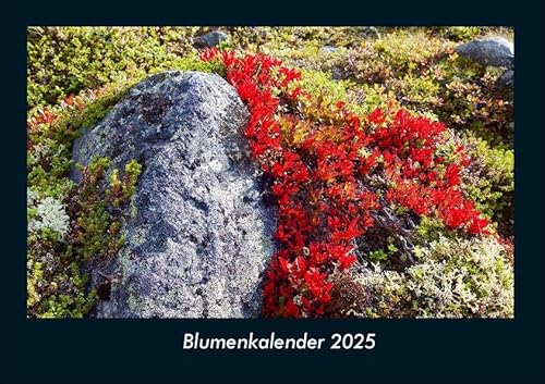 Blumenkalender 2025 Fotokalender DIN A4: Monatskalender mit Bild-Motiven aus Fauna und Flora, Natur, Blumen und Pflanzen Blumenkalender 2025 Fotokalender DIN A4: Monatskalender mit Bild-Motiven aus Fauna und Flora, Natur, Blumen und Pflanzen