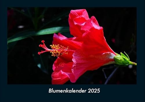 Blumenkalender 2025 Fotokalender DIN A4: Monatskalender mit Bild-Motiven aus Fauna und Flora, Natur, Blumen und Pflanzen Blumenkalender 2025 Fotokalender DIN A4: Monatskalender mit Bild-Motiven aus Fauna und Flora, Natur, Blumen und Pflanzen