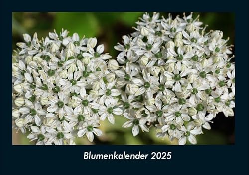 Blumenkalender 2025 Fotokalender DIN A4: Monatskalender mit Bild-Motiven aus Fauna und Flora, Natur, Blumen und Pflanzen Blumenkalender 2025 Fotokalender DIN A4: Monatskalender mit Bild-Motiven aus Fauna und Flora, Natur, Blumen und Pflanzen