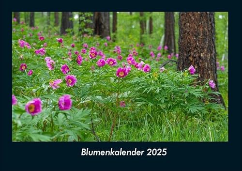 Blumenkalender 2025 Fotokalender DIN A4: Monatskalender mit Bild-Motiven aus Fauna und Flora, Natur, Blumen und Pflanzen Blumenkalender 2025 Fotokalender DIN A4: Monatskalender mit Bild-Motiven aus Fauna und Flora, Natur, Blumen und Pflanzen