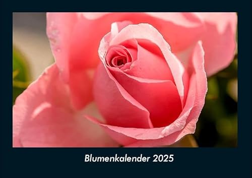 Blumenkalender 2025 Fotokalender DIN A4: Monatskalender mit Bild-Motiven aus Fauna und Flora, Natur, Blumen und Pflanzen Blumenkalender 2025 Fotokalender DIN A4: Monatskalender mit Bild-Motiven aus Fauna und Flora, Natur, Blumen und Pflanzen