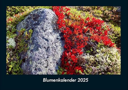 Blumenkalender 2025 Fotokalender DIN A4: Monatskalender mit Bild-Motiven aus Fauna und Flora, Natur, Blumen und Pflanzen Blumenkalender 2025 Fotokalender DIN A4: Monatskalender mit Bild-Motiven aus Fauna und Flora, Natur, Blumen und Pflanzen