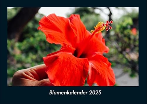 Blumenkalender 2025 Fotokalender DIN A4: Monatskalender mit Bild-Motiven aus Fauna und Flora, Natur, Blumen und Pflanzen von Vero Kalender