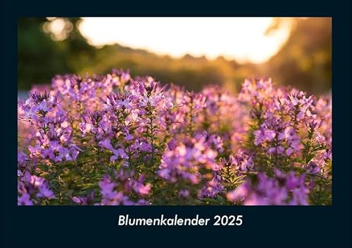Blumenkalender 2025 Fotokalender DIN A4: Monatskalender mit Bild-Motiven aus Fauna und Flora, Natur, Blumen und Pflanzen Blumenkalender 2025 Fotokalender DIN A4: Monatskalender mit Bild-Motiven aus Fauna und Flora, Natur, Blumen und Pflanzen von Vero Kalender