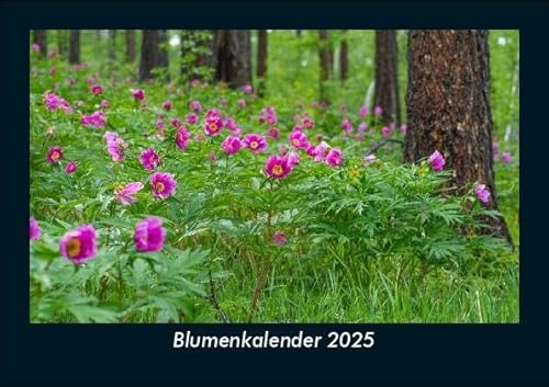 Blumenkalender 2025 Fotokalender DIN A5: Monatskalender mit Bild-Motiven aus Fauna und Flora, Natur, Blumen und Pflanzen Blumenkalender 2025 Fotokalender DIN A5: Monatskalender mit Bild-Motiven aus Fauna und Flora, Natur, Blumen und Pflanzen