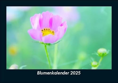Blumenkalender 2025 Fotokalender DIN A5: Monatskalender mit Bild-Motiven aus Fauna und Flora, Natur, Blumen und Pflanzen Blumenkalender 2025 Fotokalender DIN A5: Monatskalender mit Bild-Motiven aus Fauna und Flora, Natur, Blumen und Pflanzen