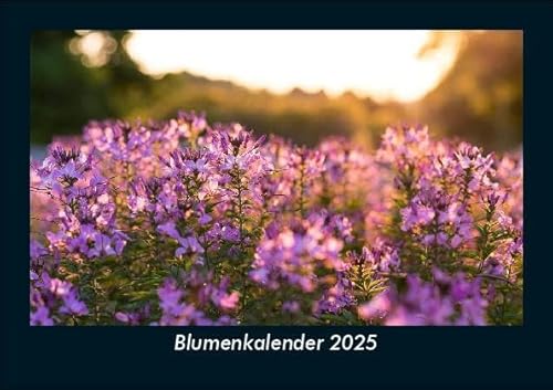 Blumenkalender 2025 Fotokalender DIN A5: Monatskalender mit Bild-Motiven aus Fauna und Flora, Natur, Blumen und Pflanzen Blumenkalender 2025 Fotokalender DIN A5: Monatskalender mit Bild-Motiven aus Fauna und Flora, Natur, Blumen und Pflanzen