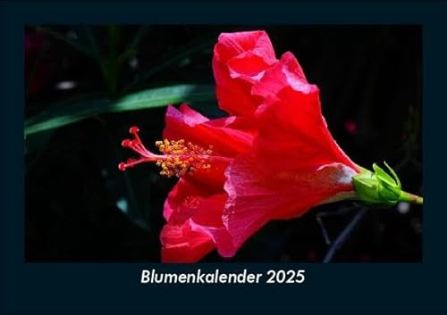 Blumenkalender 2025 Fotokalender DIN A5: Monatskalender mit Bild-Motiven aus Fauna und Flora, Natur, Blumen und Pflanzen Blumenkalender 2025 Fotokalender DIN A5: Monatskalender mit Bild-Motiven aus Fauna und Flora, Natur, Blumen und Pflanzen