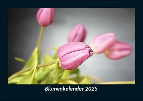Blumenkalender 2025 Fotokalender DIN A5: Monatskalender mit Bild-Motiven aus Fauna und Flora, Natur, Blumen und Pflanzen Blumenkalender 2025 Fotokalender DIN A5: Monatskalender mit Bild-Motiven aus Fauna und Flora, Natur, Blumen und Pflanzen