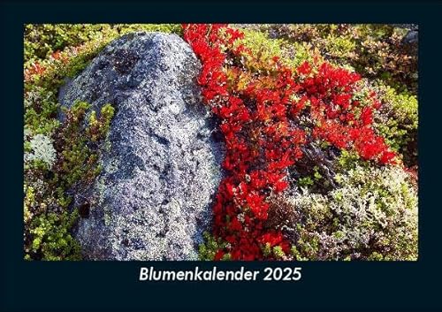 Blumenkalender 2025 Fotokalender DIN A5: Monatskalender mit Bild-Motiven aus Fauna und Flora, Natur, Blumen und Pflanzen Blumenkalender 2025 Fotokalender DIN A5: Monatskalender mit Bild-Motiven aus Fauna und Flora, Natur, Blumen und Pflanzen