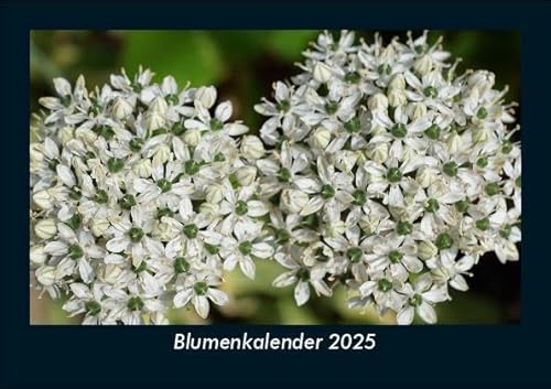 Blumenkalender 2025 Fotokalender DIN A5: Monatskalender mit Bild-Motiven aus Fauna und Flora, Natur, Blumen und Pflanzen Blumenkalender 2025 Fotokalender DIN A5: Monatskalender mit Bild-Motiven aus Fauna und Flora, Natur, Blumen und Pflanzen