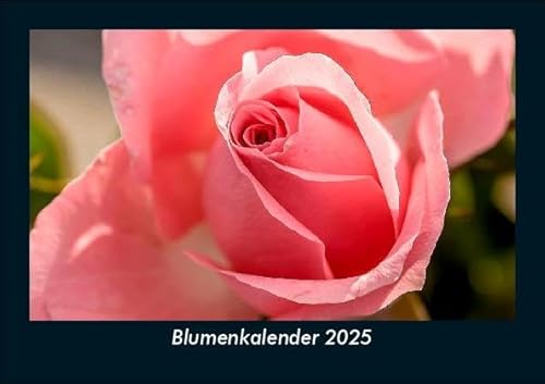 Blumenkalender 2025 Fotokalender DIN A5: Monatskalender mit Bild-Motiven aus Fauna und Flora, Natur, Blumen und Pflanzen Blumenkalender 2025 Fotokalender DIN A5: Monatskalender mit Bild-Motiven aus Fauna und Flora, Natur, Blumen und Pflanzen