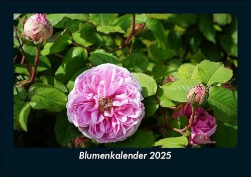 Blumenkalender 2025 Fotokalender DIN A5: Monatskalender mit Bild-Motiven aus Fauna und Flora, Natur, Blumen und Pflanzen Blumenkalender 2025 Fotokalender DIN A5: Monatskalender mit Bild-Motiven aus Fauna und Flora, Natur, Blumen und Pflanzen