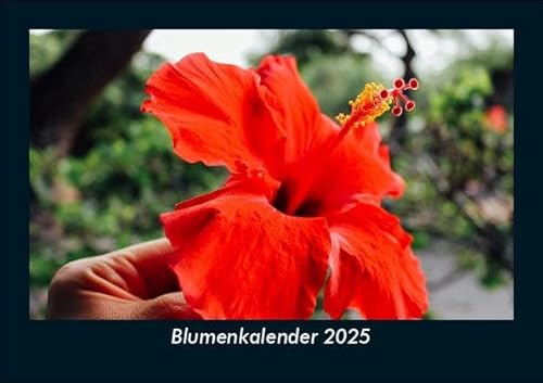 Blumenkalender 2025 Fotokalender DIN A5: Monatskalender mit Bild-Motiven aus Fauna und Flora, Natur, Blumen und Pflanzen Blumenkalender 2025 Fotokalender DIN A5: Monatskalender mit Bild-Motiven aus Fauna und Flora, Natur, Blumen und Pflanzen