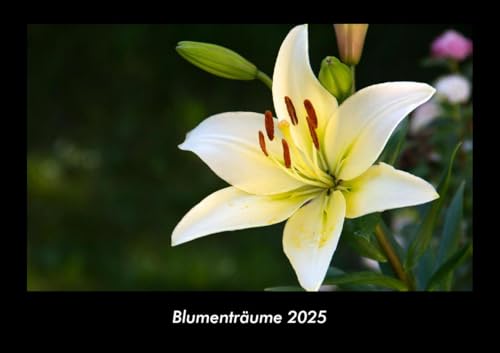 Blumenträume 2025 Fotokalender DIN A3: Monatskalender mit Bild-Motiven aus Fauna und Flora, Natur, Blumen und Pflanzen Blumenträume 2025 Fotokalender DIN A3: Monatskalender mit Bild-Motiven aus Fauna und Flora, Natur, Blumen und Pflanzen
