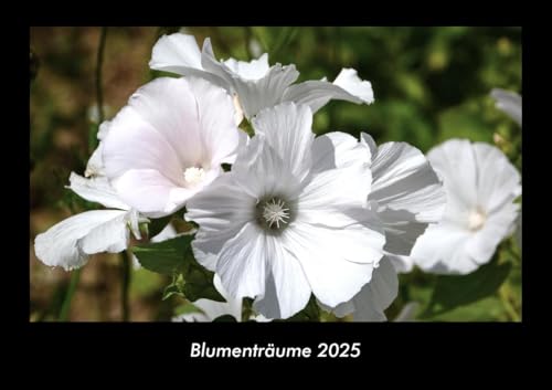 Blumenträume 2025 Fotokalender DIN A3: Monatskalender mit Bild-Motiven aus Fauna und Flora, Natur, Blumen und Pflanzen Blumenträume 2025 Fotokalender DIN A3: Monatskalender mit Bild-Motiven aus Fauna und Flora, Natur, Blumen und Pflanzen