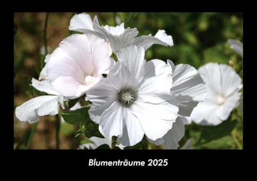 Blumenträume 2025 Fotokalender DIN A3: Monatskalender mit Bild-Motiven aus Fauna und Flora, Natur, Blumen und Pflanzen Blumenträume 2025 Fotokalender DIN A3: Monatskalender mit Bild-Motiven aus Fauna und Flora, Natur, Blumen und Pflanzen