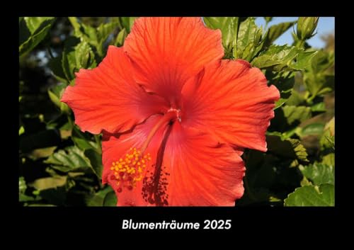 Blumenträume 2025 Fotokalender DIN A3: Monatskalender mit Bild-Motiven aus Fauna und Flora, Natur, Blumen und Pflanzen Blumenträume 2025 Fotokalender DIN A3: Monatskalender mit Bild-Motiven aus Fauna und Flora, Natur, Blumen und Pflanzen
