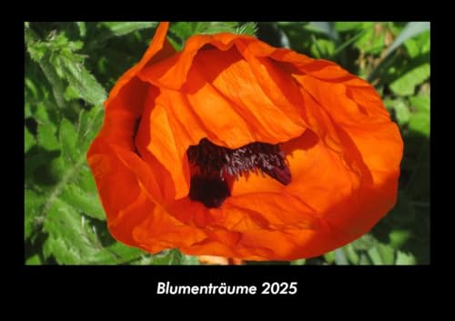 Blumenträume 2025 Fotokalender DIN A3: Monatskalender mit Bild-Motiven aus Fauna und Flora, Natur, Blumen und Pflanzen Blumenträume 2025 Fotokalender DIN A3: Monatskalender mit Bild-Motiven aus Fauna und Flora, Natur, Blumen und Pflanzen