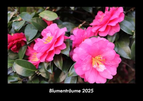 Blumenträume 2025 Fotokalender DIN A3: Monatskalender mit Bild-Motiven aus Fauna und Flora, Natur, Blumen und Pflanzen Blumenträume 2025 Fotokalender DIN A3: Monatskalender mit Bild-Motiven aus Fauna und Flora, Natur, Blumen und Pflanzen