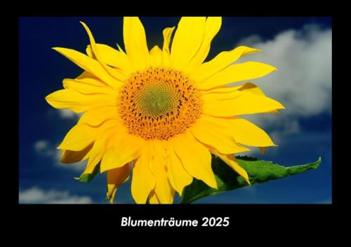 Blumenträume 2025 Fotokalender DIN A3: Monatskalender mit Bild-Motiven aus Fauna und Flora, Natur, Blumen und Pflanzen Blumenträume 2025 Fotokalender DIN A3: Monatskalender mit Bild-Motiven aus Fauna und Flora, Natur, Blumen und Pflanzen