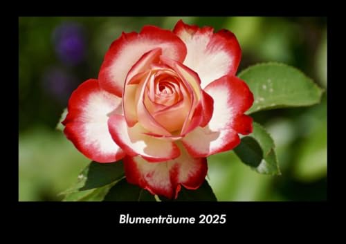 Blumenträume 2025 Fotokalender DIN A3: Monatskalender mit Bild-Motiven aus Fauna und Flora, Natur, Blumen und Pflanzen Blumenträume 2025 Fotokalender DIN A3: Monatskalender mit Bild-Motiven aus Fauna und Flora, Natur, Blumen und Pflanzen